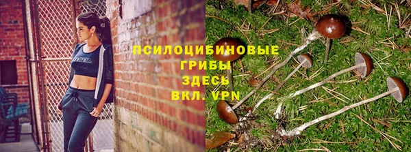 мет Армянск