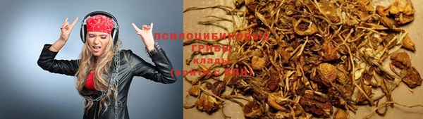 мет Армянск