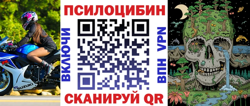 Псилоцибиновые грибы Cubensis  Купить где  Гаврилов Посад 